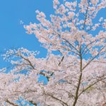 [댓글부탁해] 친구 생일 선물로 <b>과자</b> 줄 건데