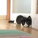 [드루와] 너희 너네만 알고싶은 노래 있냐