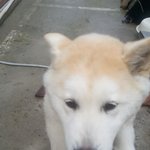 [조언부탁] 20대<b>후반</b> 모은돈이없어요..