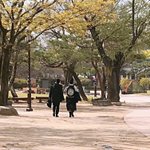 [EXO] 야 다 조용히 하고 이거나 봐라;
