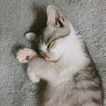 [댓글부탁해] 동성애 혐오하는 애들들어와봐