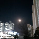 160에 마른몸무게는 <b>몇키</b>로야?