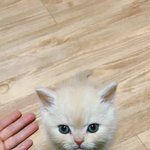 <b>백호</b> 1년뒤^_^