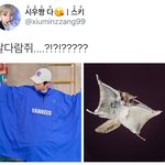 [시우민] 엠엘비 너무 대놓고 시우민을 <b>민다</b>