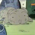 진짜 울고싶다