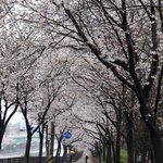 [말씀 묵상] 오늘의 말씀 요한복음 1장, 신앙의 기준은???