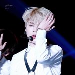 [방탄소년단] <b>하네스</b> 국내 해외 온도차