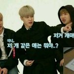 [방탄소년단] 이삐들아 휘둘리지마