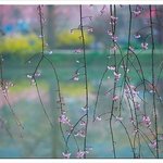 [봄편지] 주님 다시 오실 <b>때</b>까지, 주님 <b>곁</b>으로 날 이끄소서~