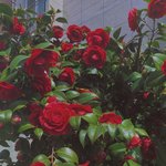 [드루와] 수원 같이 살 사람 구함