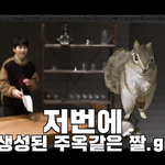 [EXO] 인터뷰 이짤 보고 뿜었다ㅋㅋㅋㅋㅋ