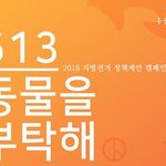 이번 지방선거에 동물정책 <b>제안</b>합시다 `613 동물을 부탁해` 캠페인