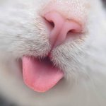 사진 보자마자 <b>심</b><b>쿵</b>하게해줌