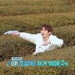 [박우진] 문제) 박우진을 찾으시오
