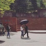 실시간으로 올라온 수지 <b>폰카</b> 사진들