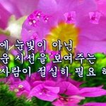 나 어학<b>연수</b> 신청해볼까