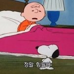 아이폰 <b>투명</b>케이스 추천해줘ㅠㅠㅠ
