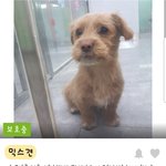 <b>월욜</b>까지 버틸수 있는 아이들입니다