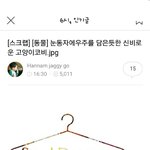 [드루와] 눈동자에 우주를 닮은 고양이