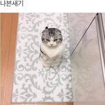 나도 맞힌다 다들 <b>초성</b> 문제 내주셈