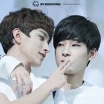 [세븐틴] 캐로<b>시들</b> 이 움짤 찾아줘ㅠㅠㅠ