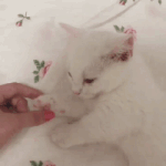 짝년은 <b>자나</b>?