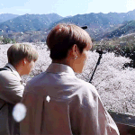 [박우진] 이거 진심 <b>CG</b> 인줄