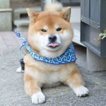 [방탄소년단] 태형아 태형아