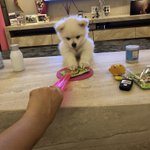 밥풀이를 사랑해