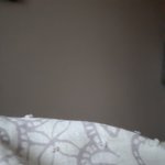 [댓글부탁해] 갤러리에서 가장 쓸모없는 사진 올려<b>보자</b>