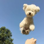 [댓글부탁해] 내가 <b>예민</b>하고 이상한 성격인거야?