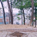 길냥이 <b>분양</b> 보냈어요..