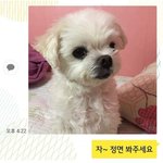 아 남사친 뚜까 패줄 사람있냐