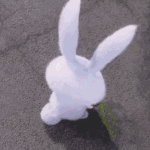 [EXO] 니네 진짜 작작해