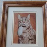 전세계 <b>벼룩</b>시장에서 찾은 물건들