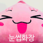 인형매니아라면 한번쯤 해보는 장난ㅋ