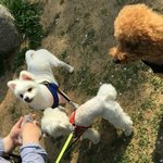 강ㅅㅁ카페 하는분 계시나요