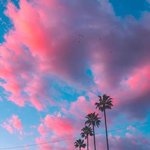 로스앤젤레스의 캔디빛 <b>일몰</b>