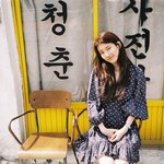 제주도 여행 간 수지 사진들