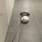 우리반에 <b>통통</b>한애 있거든