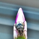 [꼭봐주세요] 자살 그리고 완전 변태 (完全變態)