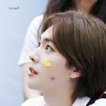 아 나 위너 <b>진우</b>한테 재입덕당한듯