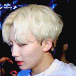 s v t <b>정한</b>(윤정한)