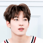 s v t <b>원우</b>(<b>전원우</b>)