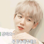 [백현] 사다리 타고 세계여행 티저 백현 <b>gif</b> C