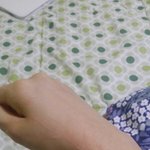 나 지금 고양이랑 ㅈㄴ 피터지게 싸우는중