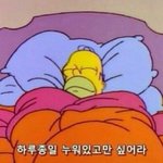 [댓글부탁해] 데일리스킨피치어때