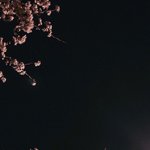 데이디데이에서 옷 <b>사본</b>사람