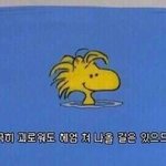 자존감 높아지는법 없을까