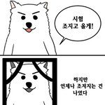 유니버셜스튜디오 가는데 치마ㄱㅊ??